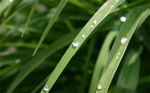 雅漾美白润肤水怎么样,秋冬爽肤水推荐