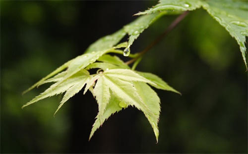 骨架大女生多少斤适合穿什么衣服,微胖女生穿搭法则小组